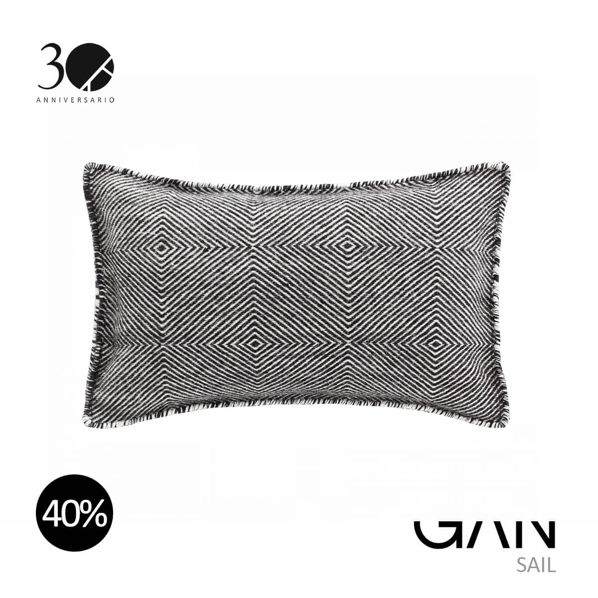 GAN-SAIL